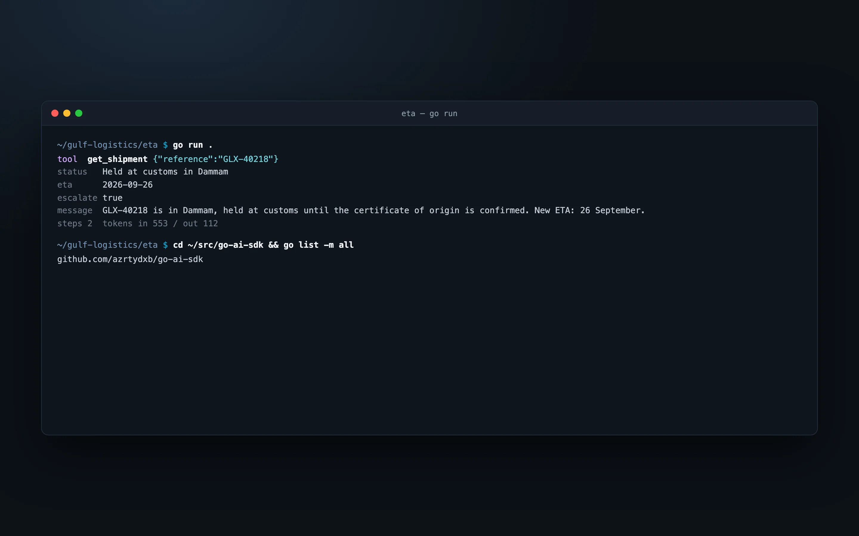 Terminal output of the example: the tool call, the decoded reply fields, step and token counts, and go list showing no dependencies